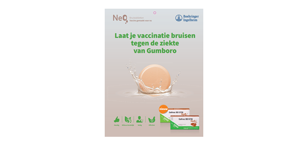 Gallivac IBD S706 NeO Drinkwatervaccinatie